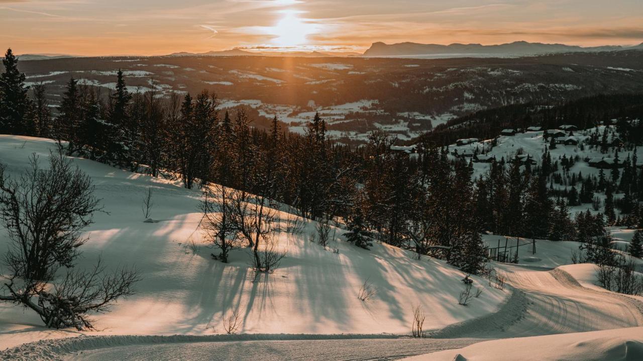 Danebu Kongsgaard - Boutique Hotel Aurdal المظهر الخارجي الصورة